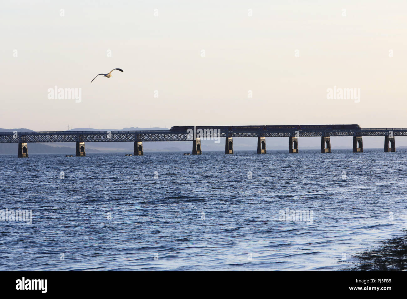 Un treno che attraversa il Tay Rail Bridge, sopra l'Estuario tra la città di Dundee e Fife, Scozia, Regno Unito Foto Stock