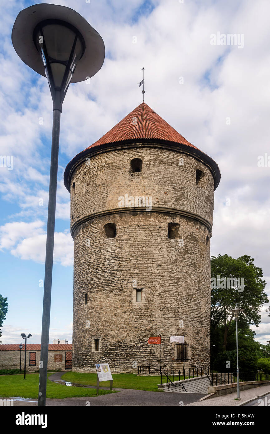 La bella torre medievale Kiek in de Kök nel centro storico di Tallinn, Estonia Foto Stock