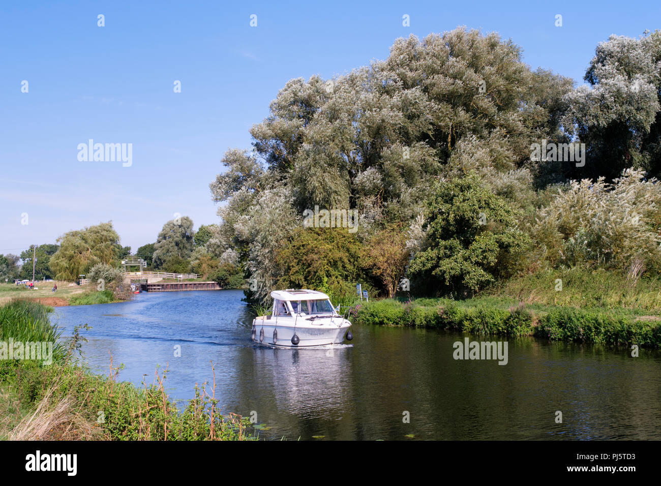 Un cabinato power crociera in barca sul Fiume Great Ouse vicino Houghton e Wyton, Cambridgeshire, Regno Unito Foto Stock