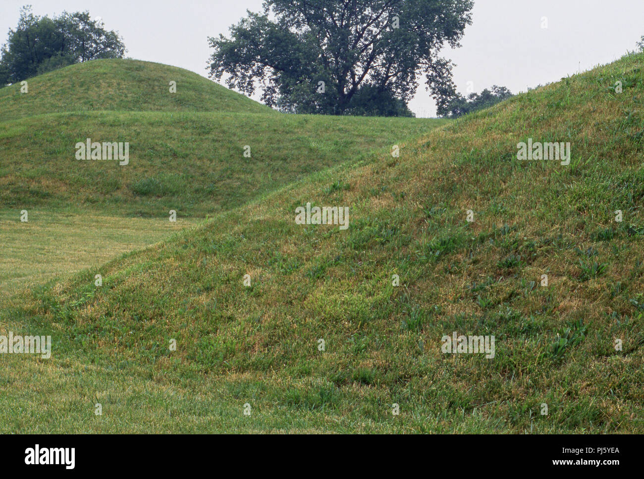 Hopewell cultura tumuli, Mound City National Historic Site, Ohio. Fotografia Foto Stock