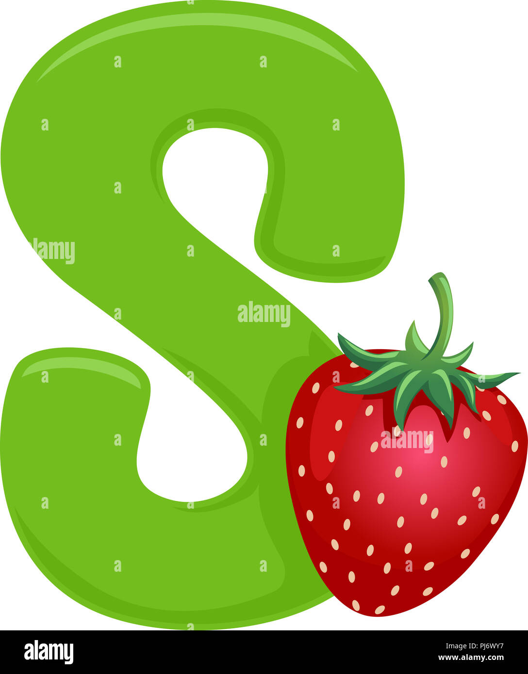 Illustrazione dei frutti alfabeto, una verde lettera S e una fragola Foto Stock