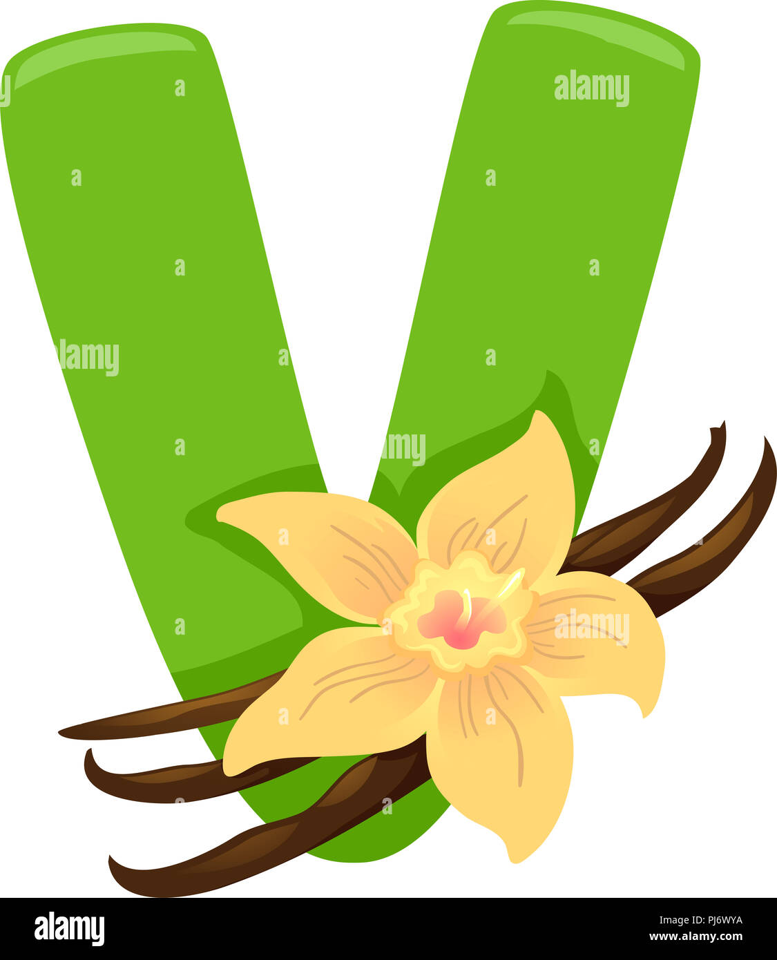 Illustrazione di alfabeto alimentare, una verde lettera V e vaniglia fagioli secchi e fiori di orchidea Foto Stock