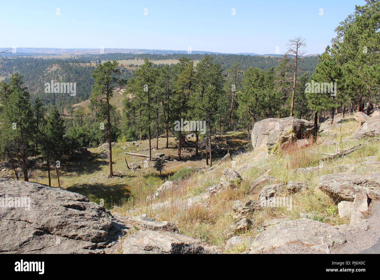 Natura Outdoor scena Foto Stock