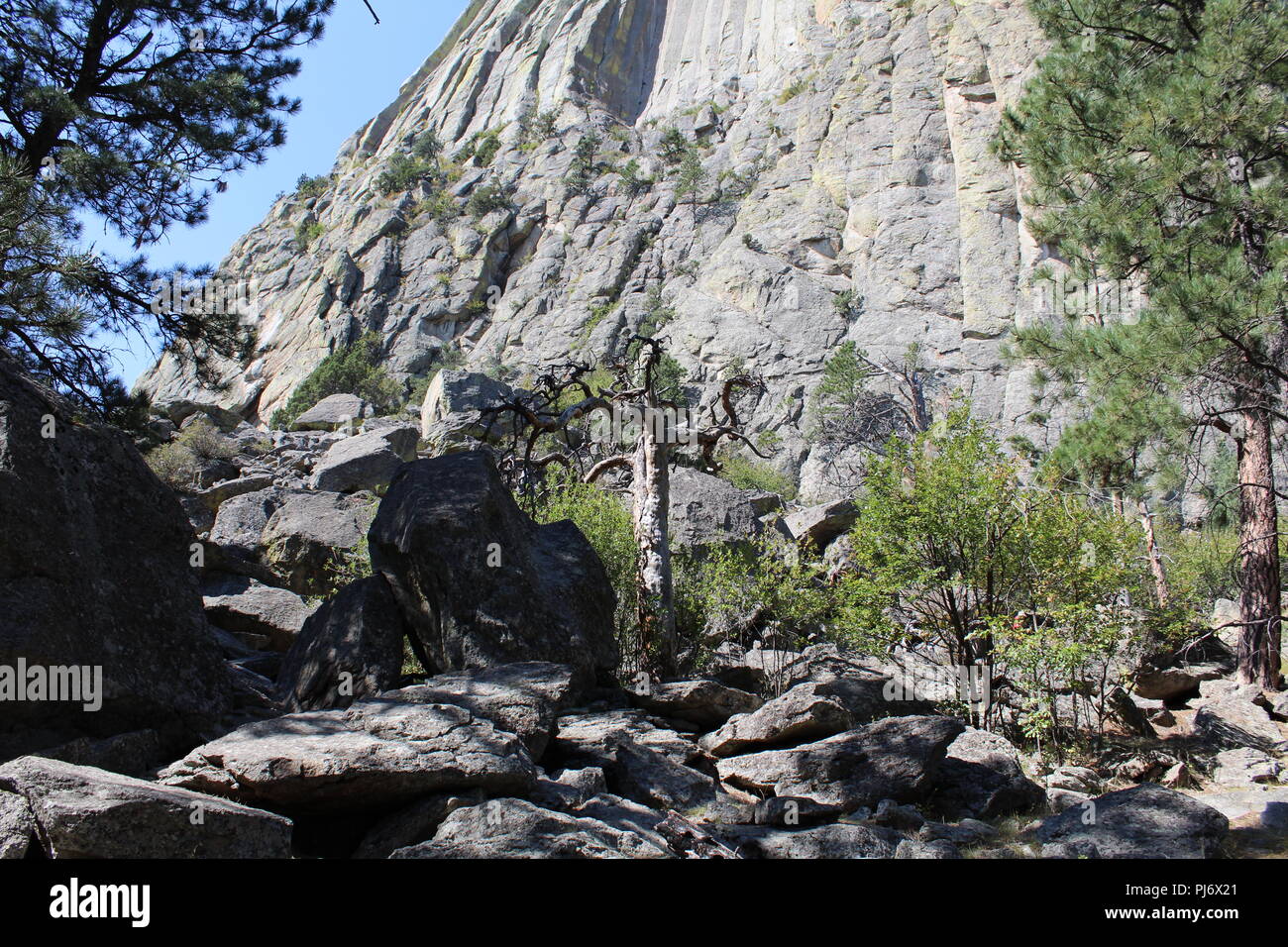 Natura Outdoor scena Foto Stock