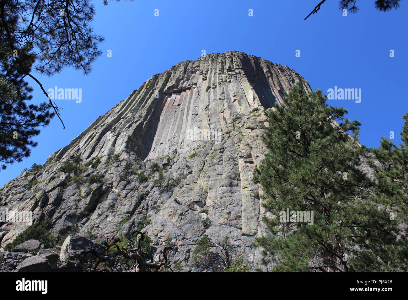 Natura Outdoor scena Foto Stock