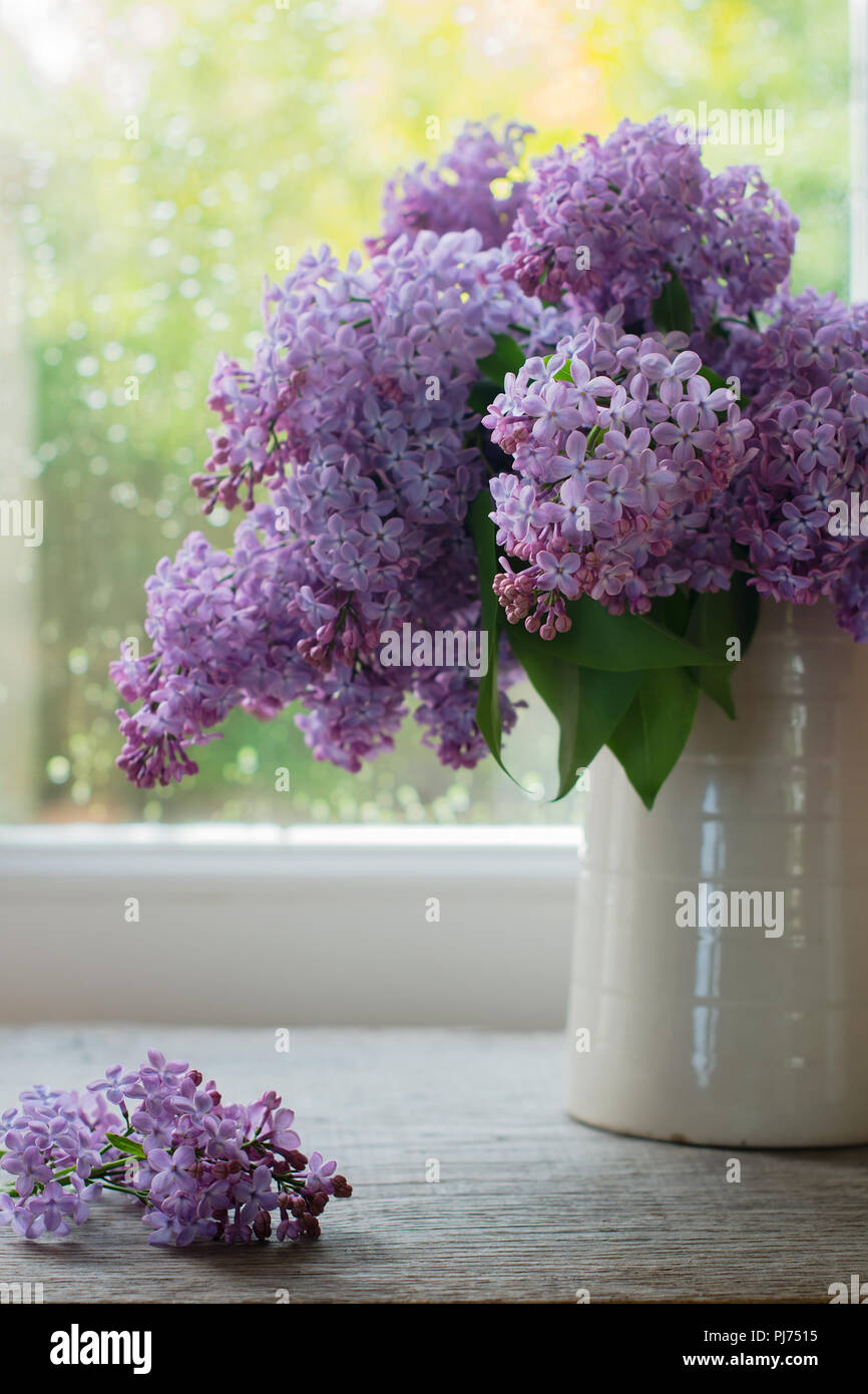 Mazzo di fiori lilla in una crema vintage vaso sul tavolo di fronte alla  finestra, il fuoco selettivo Foto stock - Alamy