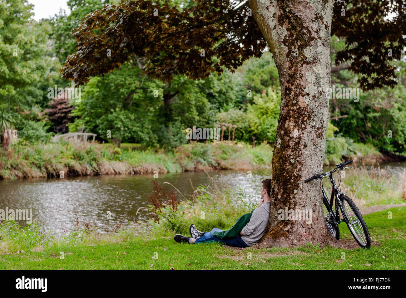 Coppia giovane appoggiata contro un albero in Fitzgerald Park, Cork, Irlanda avente un momento romantico. Foto Stock