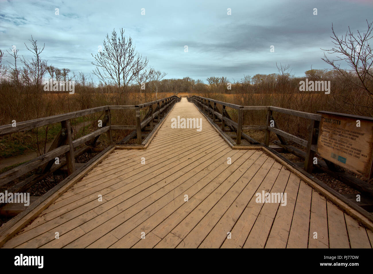 Passerella in legno con balaustra anche di legno passando gli alberi e cespugli che conduce al pettine e palude accanto a Vienna nel parco nazionale lobau Foto Stock