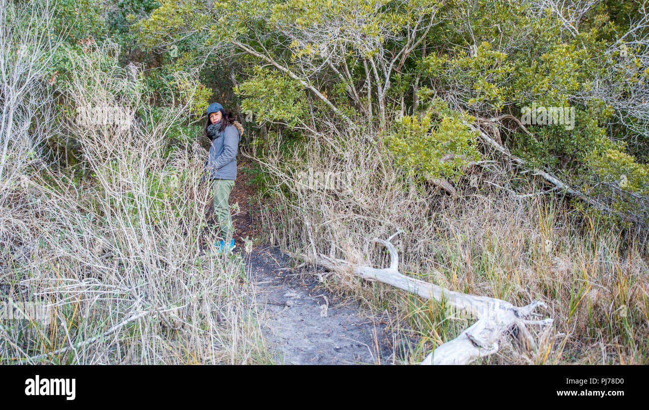 Donna in piedi a tall reed erba sul Boardwalk Foto Stock