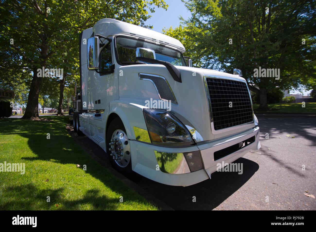 Big Rig semi camion di marchi diversi modelli e colori sono schierate in parcheggi truck stop o riempimento di strada posti vacanti a riposo sono il pranzo Foto Stock