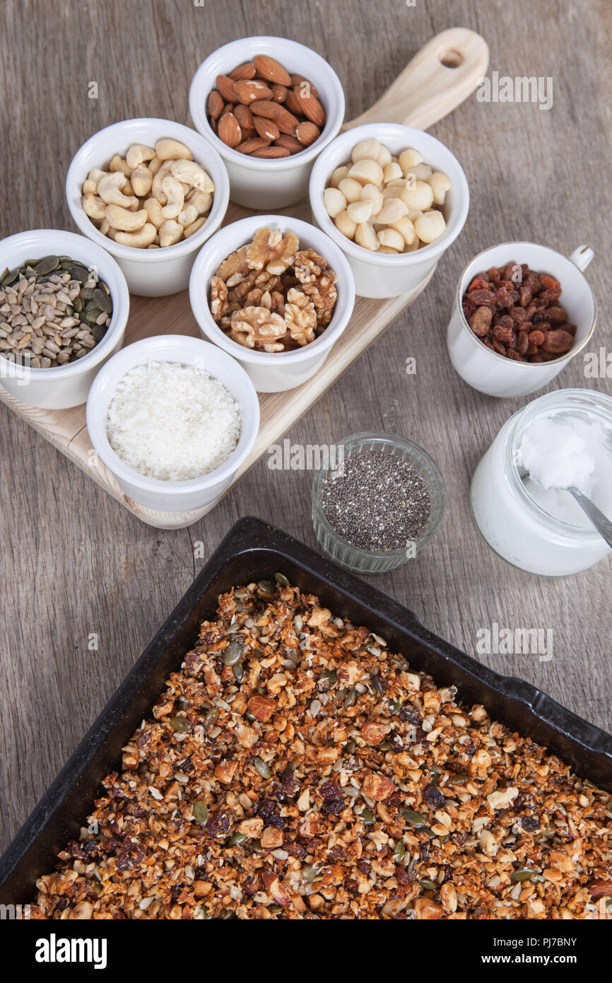 Libera granella paleo granola: misto noci, semi, uvetta, scaglie di noce di cocco, chia e olio di noce di cocco Foto Stock