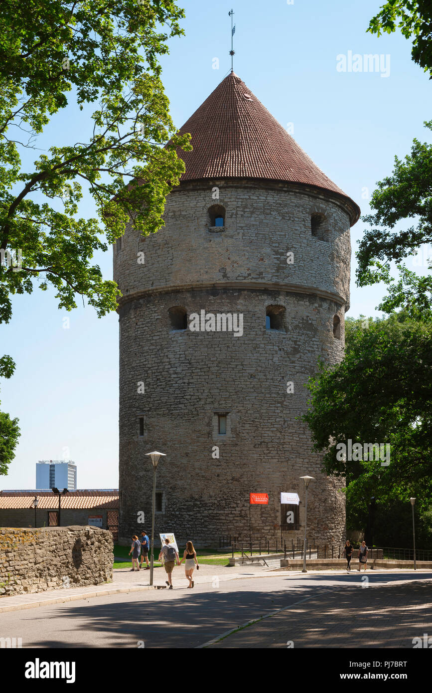 Tallinn Kiek in de Kok, vista dell alto medievale torre cannone sulla collina di Toompea noto come Kiek in de Kok, Tallinn, Estonia. Foto Stock