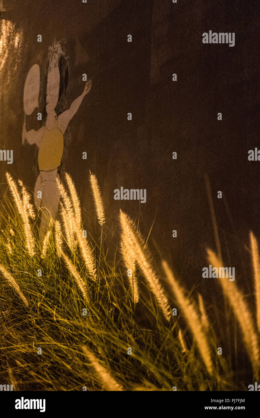 Pass-A-Grille, Florida, Cartoon, grafica, graffiti, speciale area di parcheggio per 'Harley Davidson Motor Cycles', 'party sotto le luci', parte di strada Foto Stock