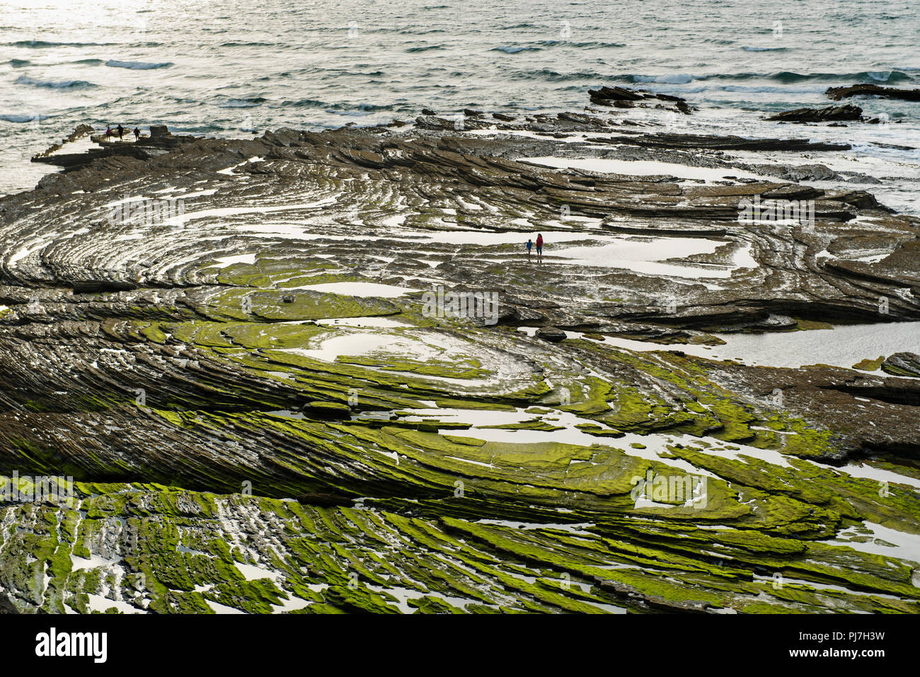 Le formazioni rocciose. Parque Natural do Sudoeste Alentejano e Costa Vicentina, la più selvaggia costa atlantica in Europa. Algarve Portogallo Foto Stock