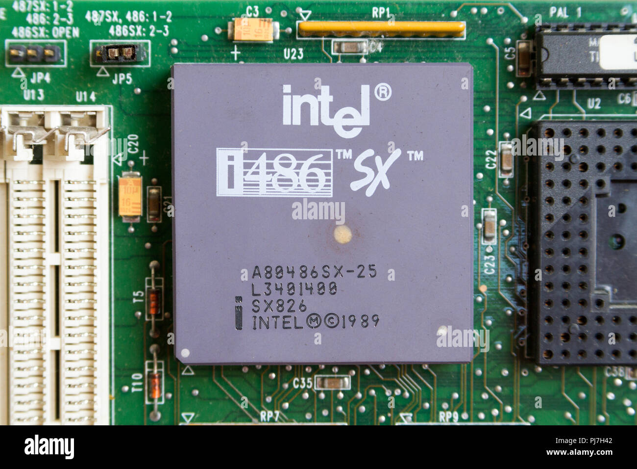 Un processore Intel i486 Sx (80486SX) processore (CPU) dal 1989 nel socket della scheda madre. Caklov, Slovacchia. 2018/7/28. Foto Stock