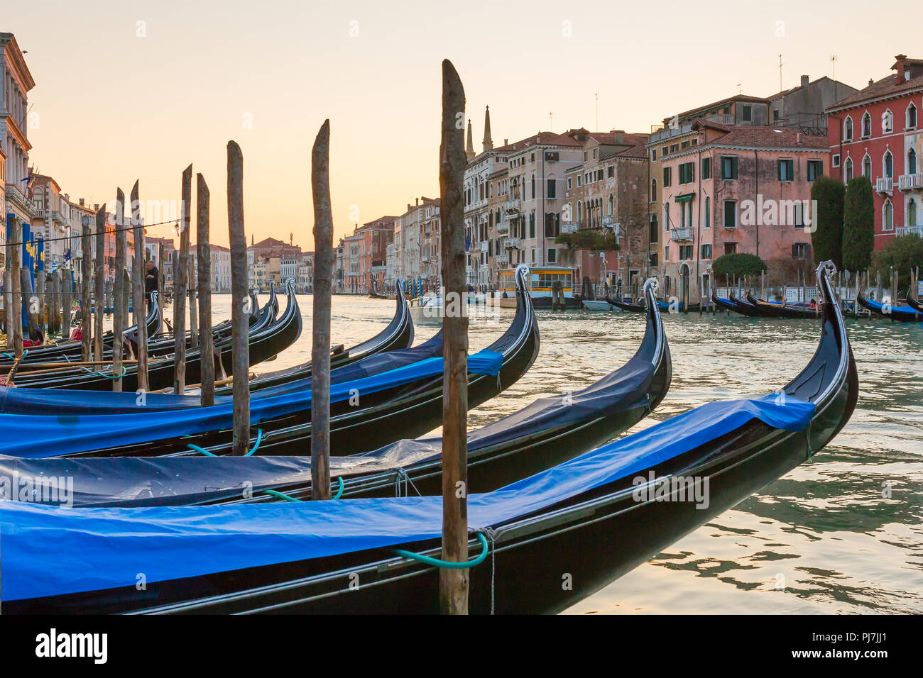 Gondola parcheggio al Canal Grande a Venezia, Italia Foto Stock