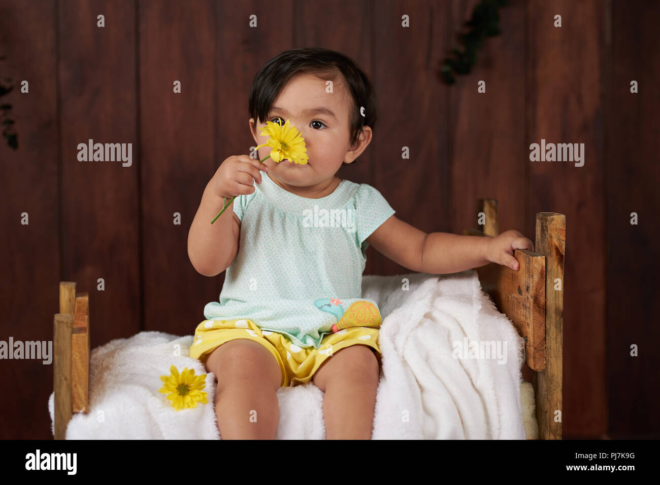 Baby girl odore dei fiori sul legno scuro di sfondo per studio Foto Stock