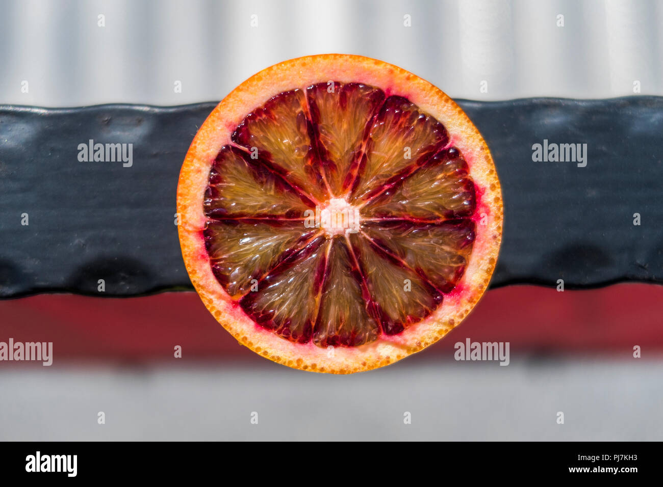 Semi di Pompelmo tagliato vicino fino all'aperto Foto Stock