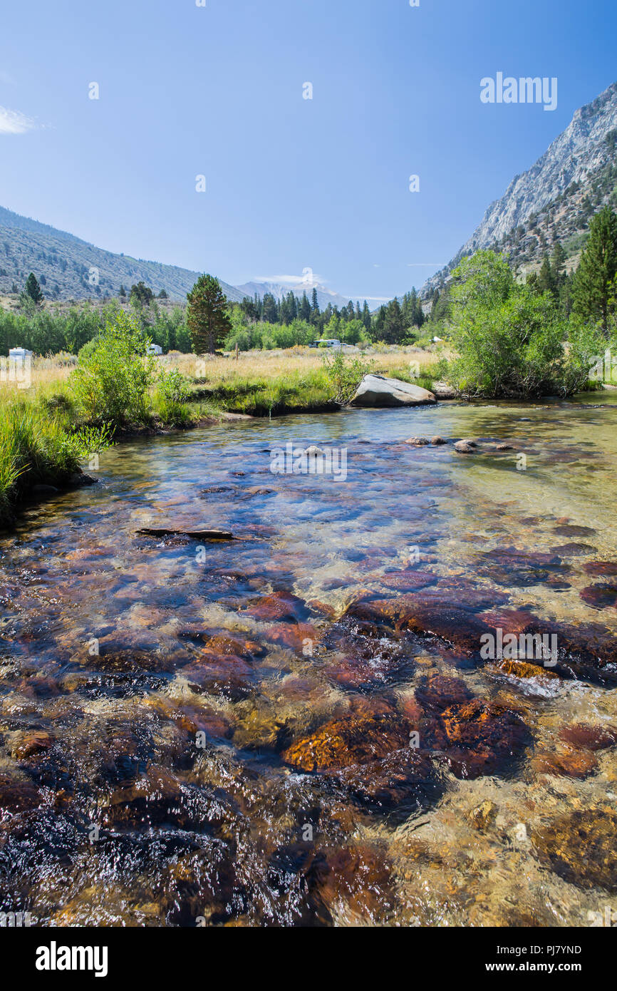 Rock Creek fluisce attraverso Iris prato campeggio nella parte orientale della sierra Nevada della California USA Foto Stock