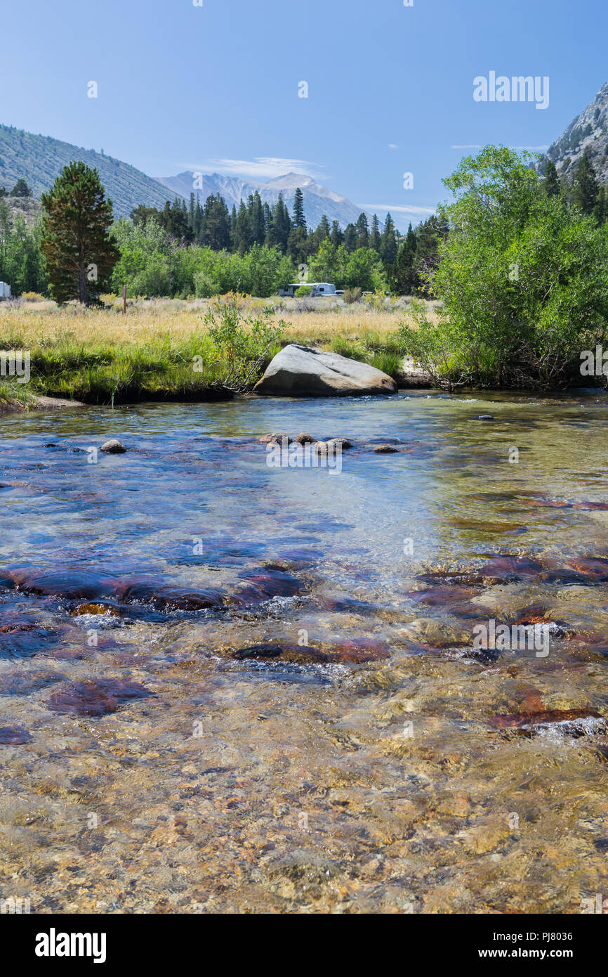 Rock Creek fluisce attraverso Iris prato campeggio nella parte orientale della sierra Nevada della California USA Foto Stock