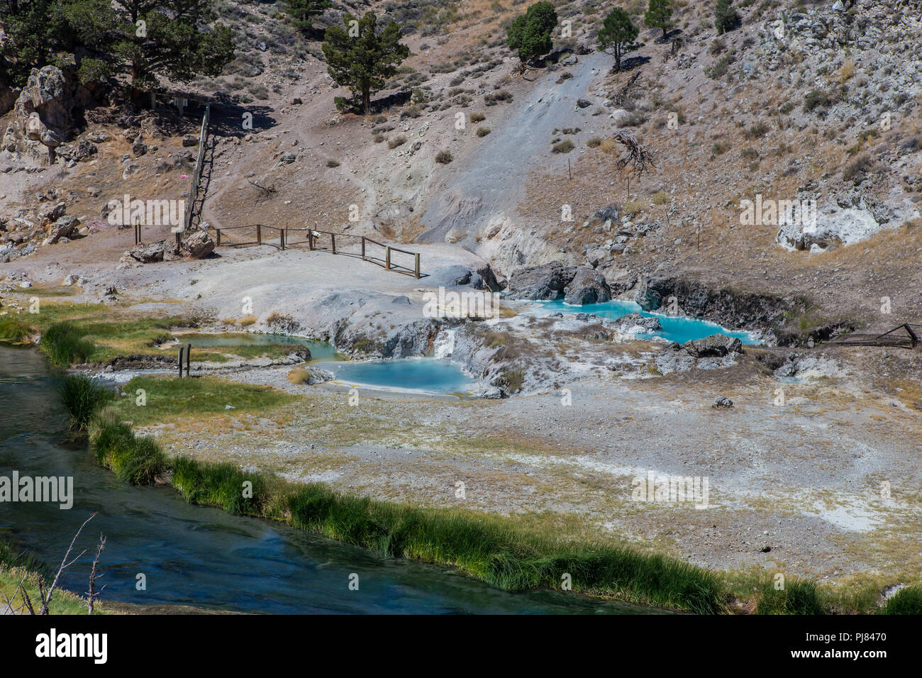Hot Creek è parte della lunga valle Caldera ospita un attivo sistema idrotermale che include hot springs, fumarole fori per la fuoriuscita del vapore e di depositi di minerali Foto Stock