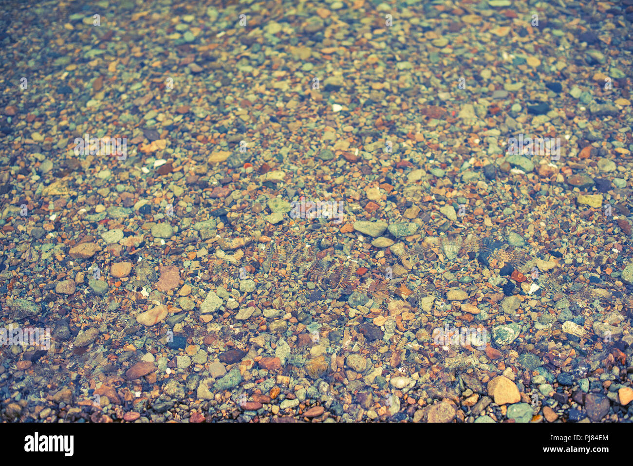 Abstract naturale sullo sfondo di un mare di ciottoli. Testurizzato decorativo sullo sfondo. Foto Stock