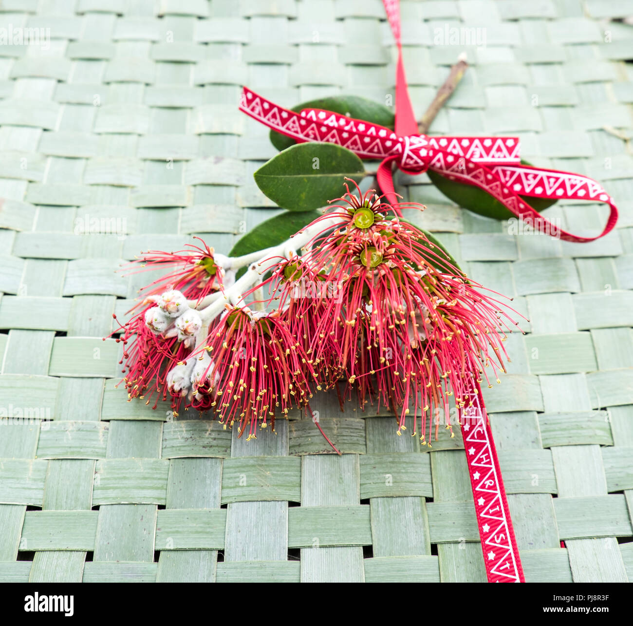 Nuova Zelanda albero di Natale o Pohutukawa flower su tessuto di lino kete sfondo con nastro - kiwiana NZ tema natale Foto Stock