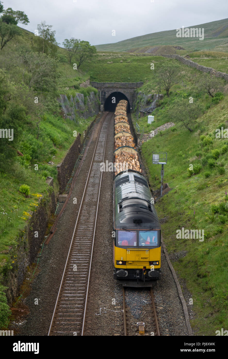 Carlisle, England, Regno Unito - 2 Luglio 2, 2015: una classe di 60 diesel merci pesanti locomotore traina un treno di legname attraverso Blea Tunnel di Moro al vertice della Foto Stock