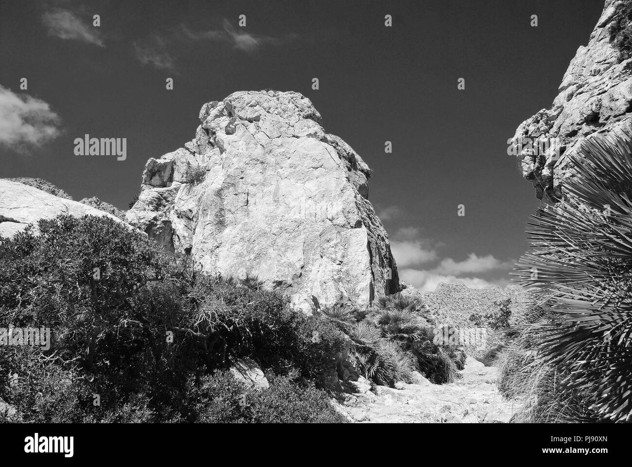 Rocce di grandi dimensioni linea il sentiero della valle Boquer nelle montagne Tramuntana sull'isola spagnola di Maiorca. Foto Stock