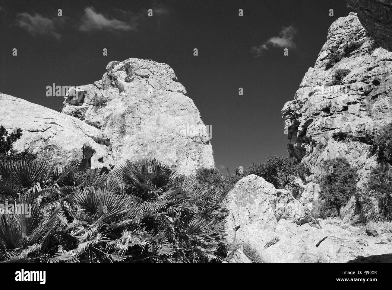 Rocce di grandi dimensioni linea il sentiero della valle Boquer nelle montagne Tramuntana sull'isola spagnola di Maiorca. Foto Stock