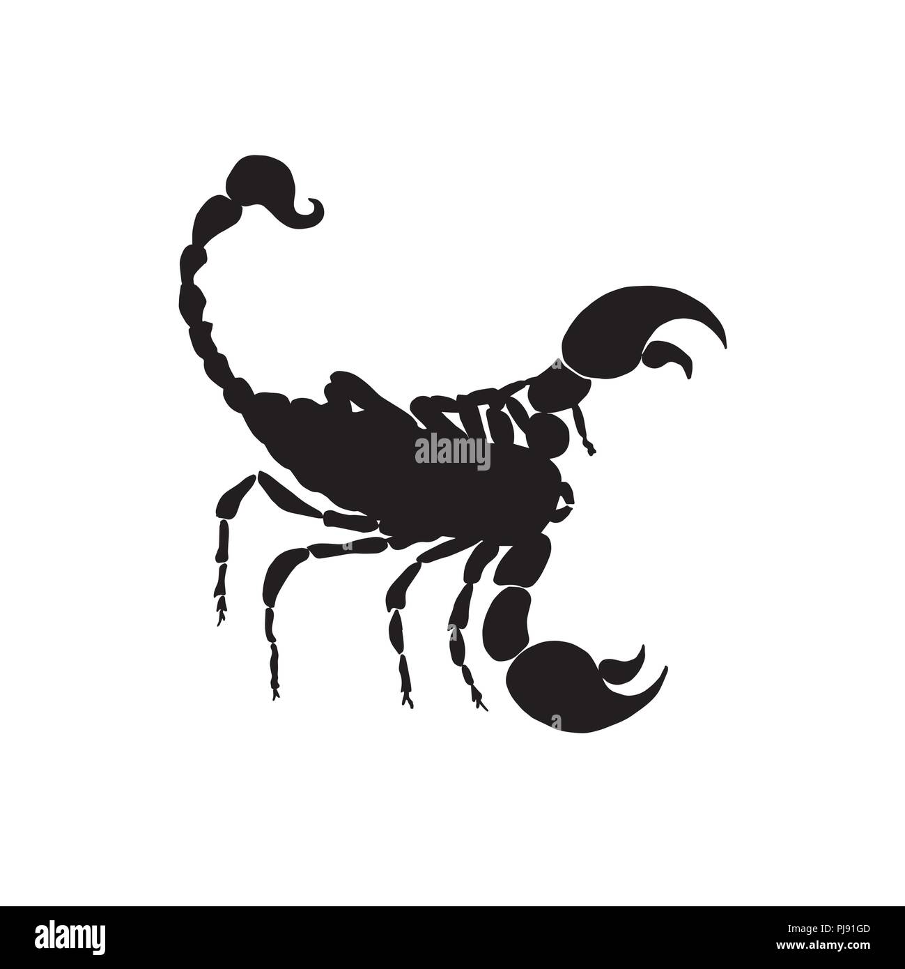 Vector scorpio black silhouette. Scorpione segno zodiacale silhouette. Illustrazione Vettoriale