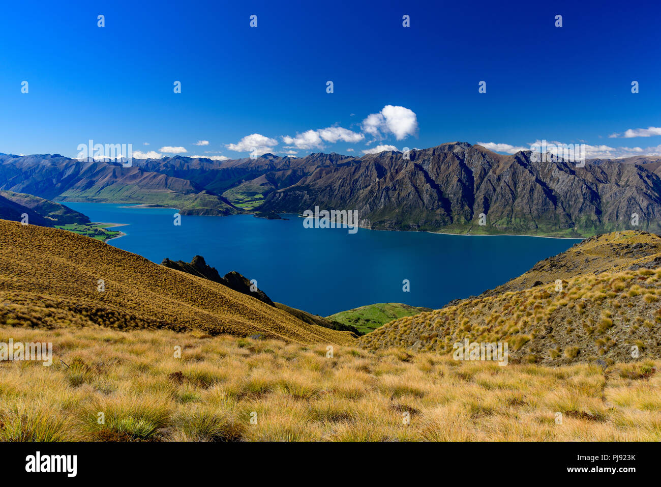 Il lago Wanaka, Isola del Sud, Nuova Zelanda Foto Stock