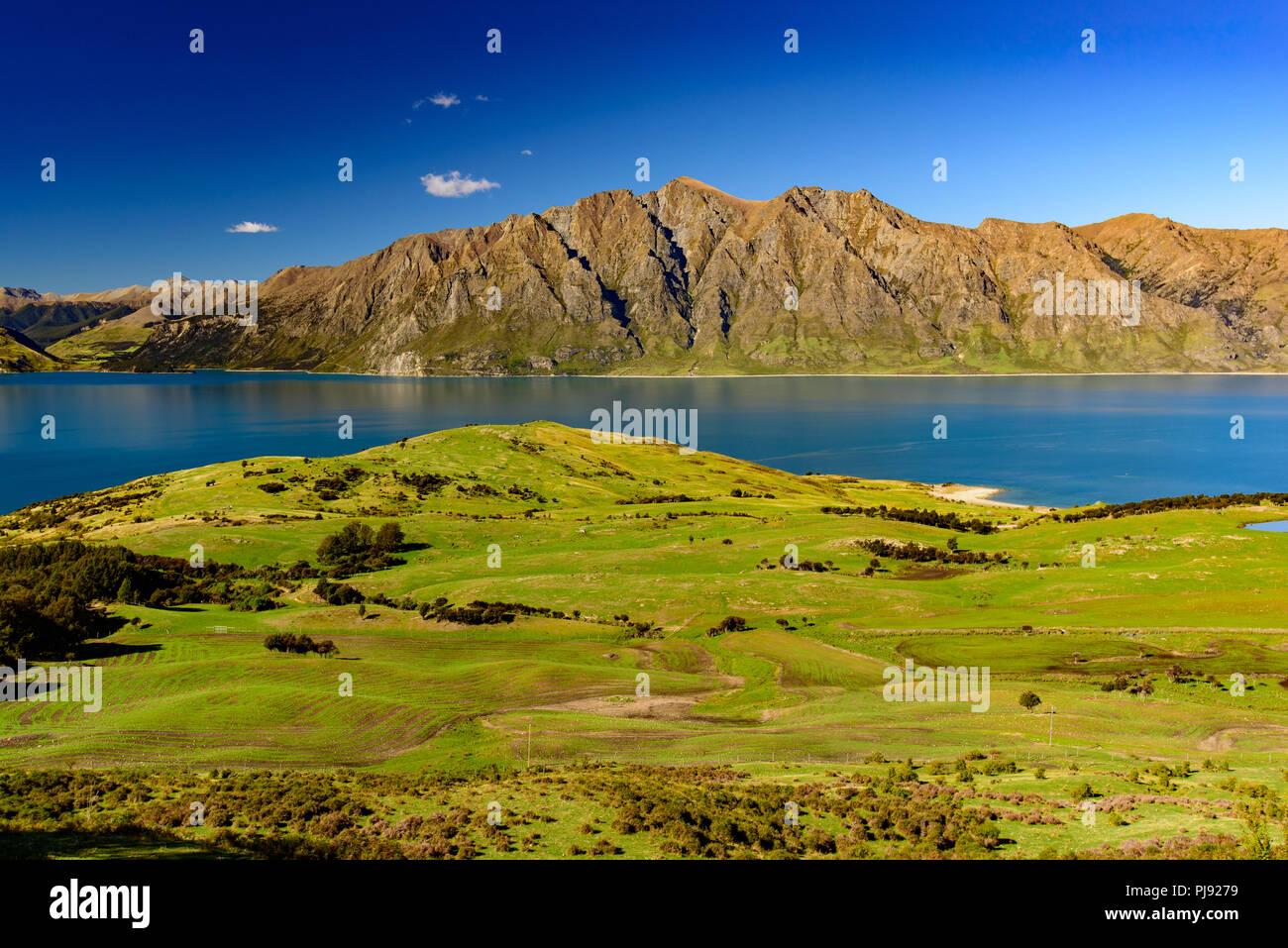 Il lago Wanaka, Isola del Sud, Nuova Zelanda Foto Stock