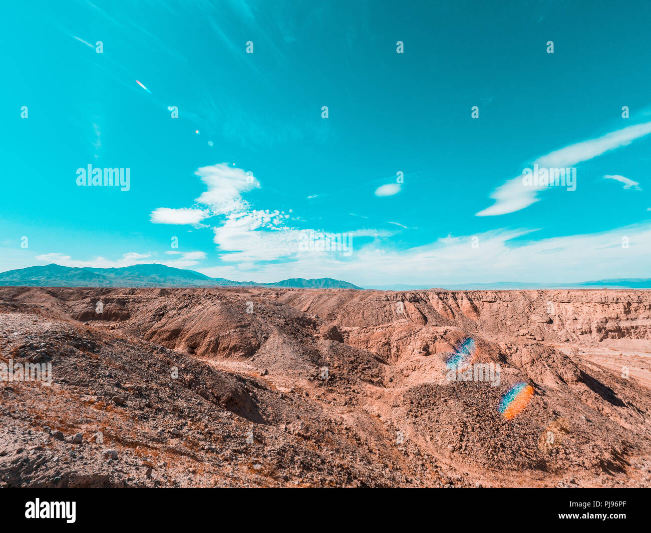 Strade del deserto e vegetazione con albero morto e il cartello stradale Foto Stock