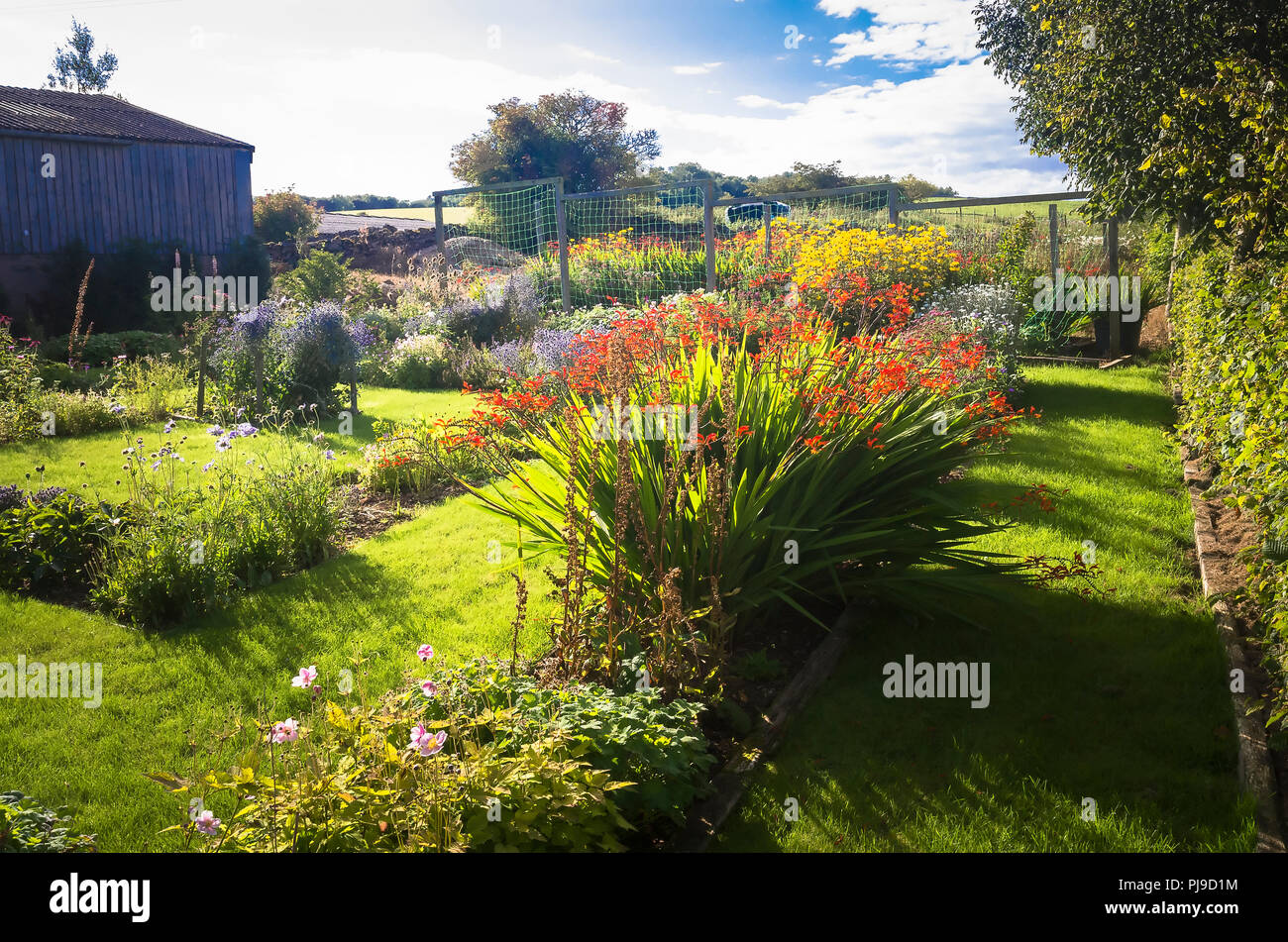 Il Giardino di taglio in corrispondenza di Blencoe Hall in Cumbria in tarda estate nel Regno Unito Foto Stock