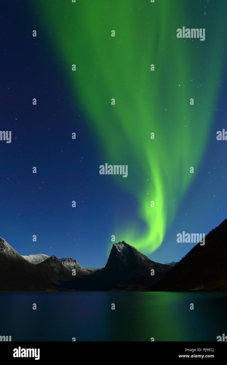 Bella e verde luci del nord in Norvegia paesaggio. Composizione verticale Foto Stock