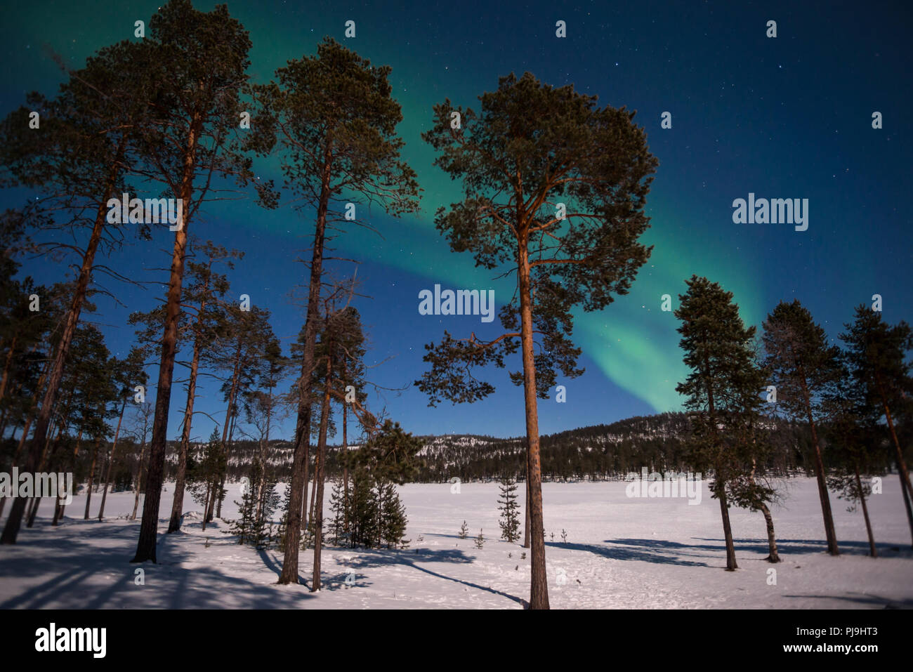 Luci del nord, Aurora Boreale in Lapponia, Finlandia Foto Stock