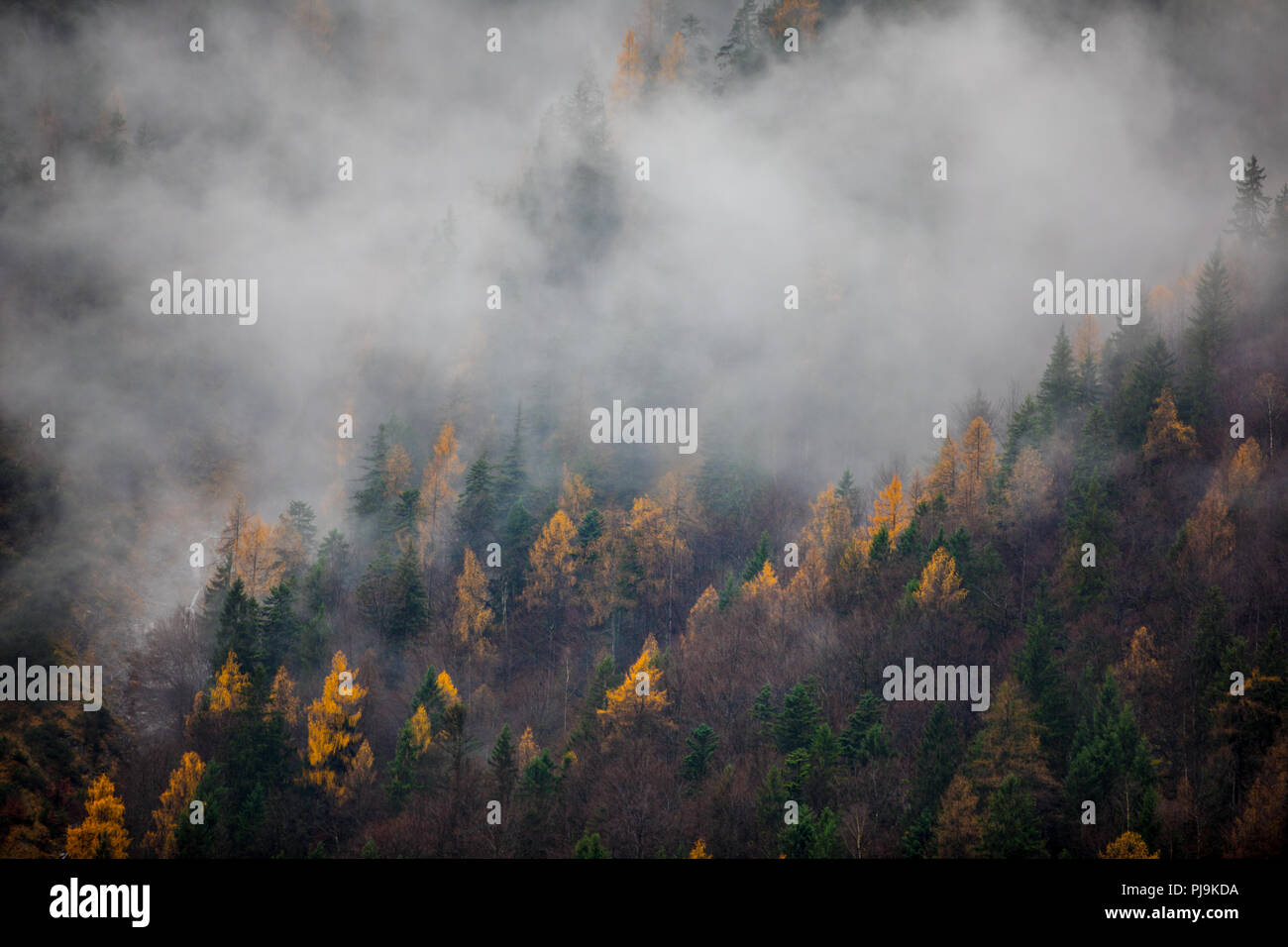 Saalbach, Austria Foto Stock