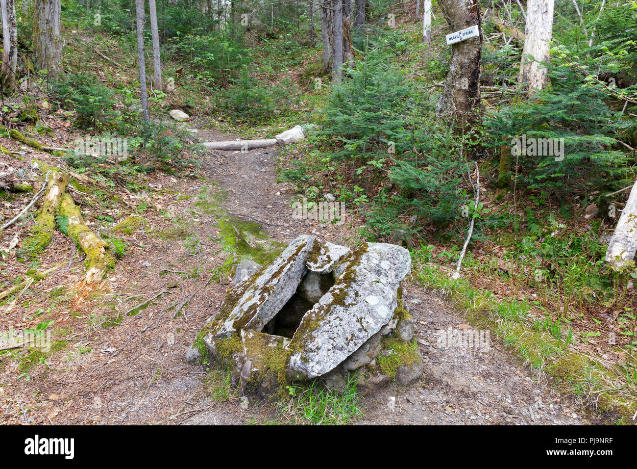 Merrill Molla, vicino Lago Ammonoosuc, in Carroll, New Hampshire. Questa molla è stato chiamato con il nome di uno dei dirigenti della storica casa Crawford. La Aro Foto Stock