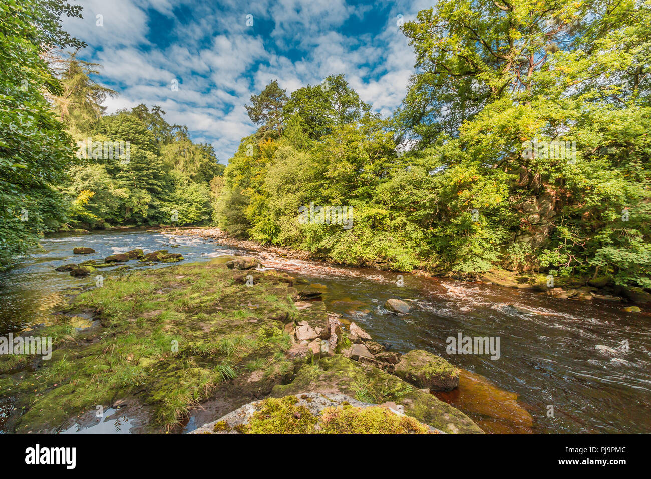 Paesaggio di Teesdale, il Fiume Tees dal modo Teesdale lunga distanza sentiero tra Cotherstone e Romaldkirk, County Durham, Regno Unito Foto Stock