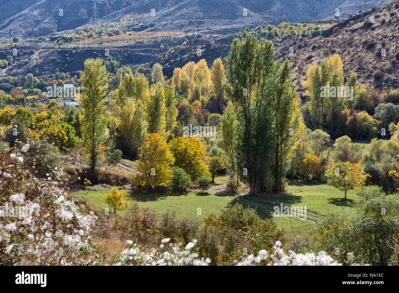 Yeghegis valley, Vayots Dzor provincia, Armenia Foto Stock