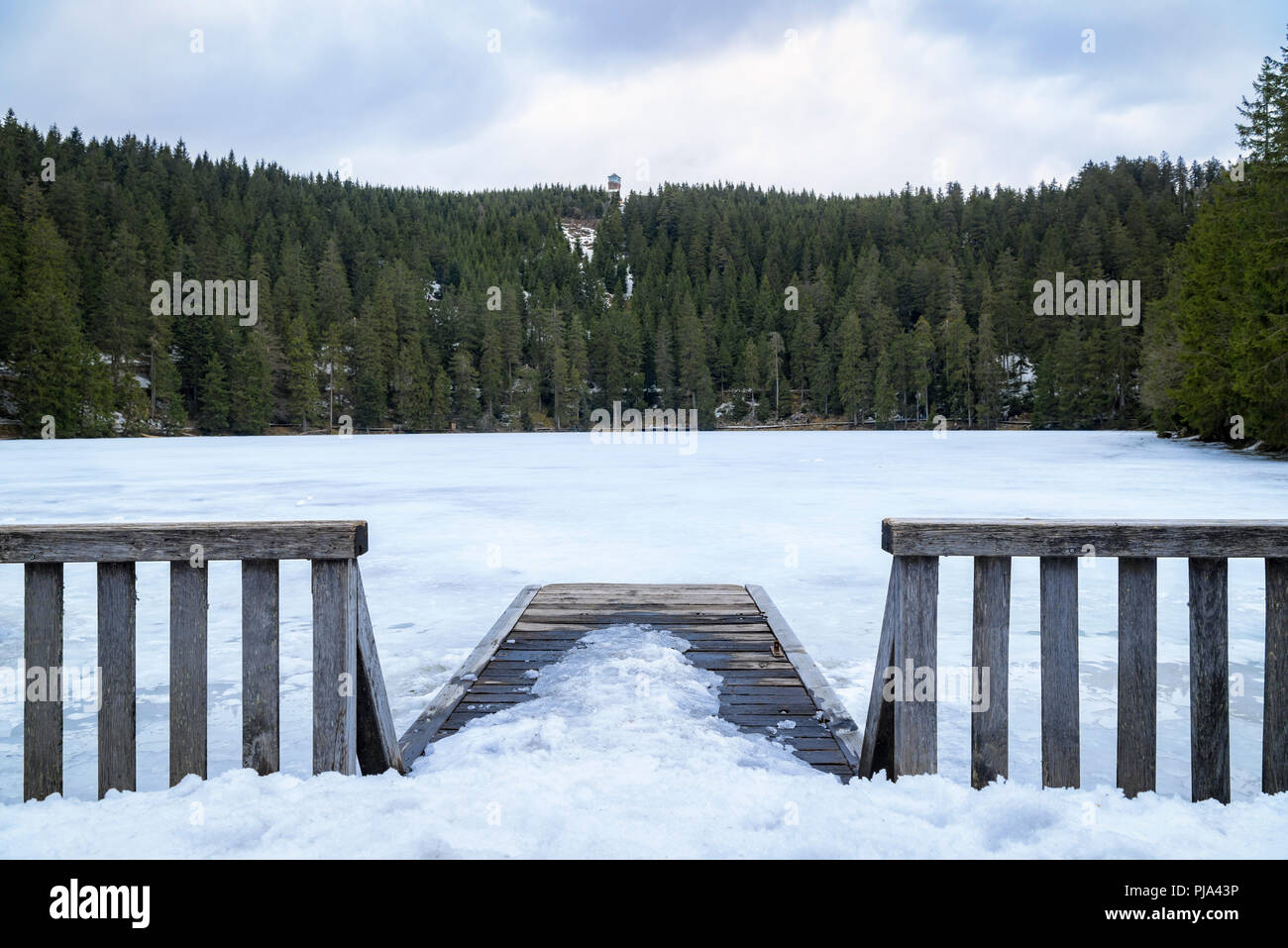 Paesaggio Innevato con ponte di legno e l'acqua congelata del lago Mummelsee, circondato dal bosco di abeti, nelle montagne della Foresta Nera in Germania. Foto Stock