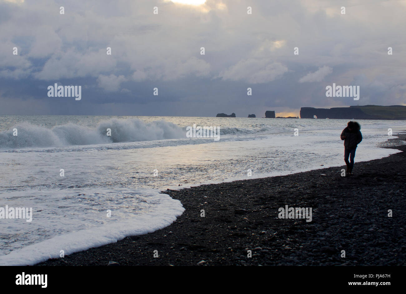 Spiaggia di Reynisfjara, Islanda Foto Stock