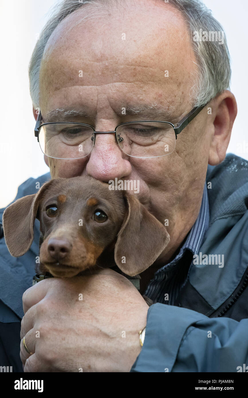 Londra, Regno Unito. 6 Settembre, 2018. Xxvi edizione Westminster cane dell'anno. Credito: Guy Corbishley/Alamy Live News Foto Stock