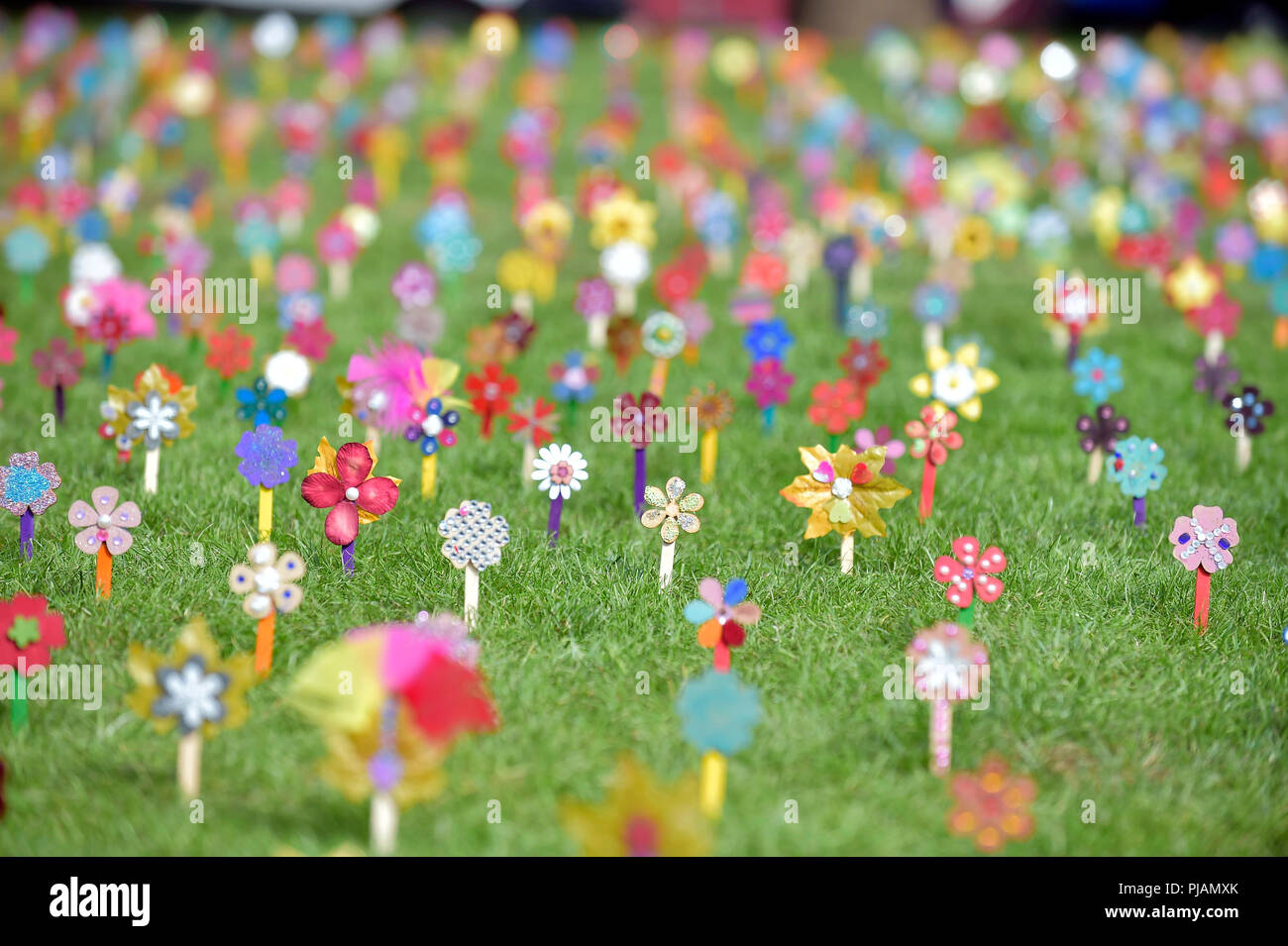 Glasgow, Regno Unito. Il 6 settembre 2018. 2,849 mi ÔForget NotÕ fiori in legno saranno piantate. Ogni fiore rappresenta una persona che è morto da un alcol-correlati e i decessi correlati al consumo di stupefacenti e del suicidio nel 2017. L'evento sarà anche chiamata per il Governo scozzese di dichiarare un'emergenza sanitaria pubblica a causa della quantità di persone che hanno perso la vita negli ultimi anni. Foto di familiari e amici si incontrano in George Sq, Glasgow nel ricordo della cerimonia. Credito: sandy giovani/Alamy Live News Foto Stock