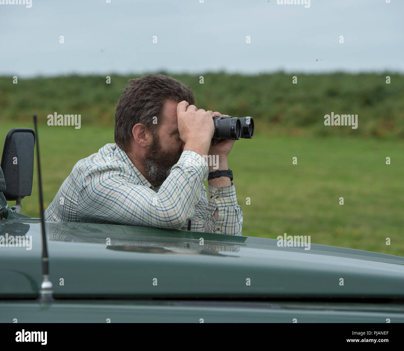 Uomo che utilizza un binocolo mentre Cervo Stalking Foto Stock