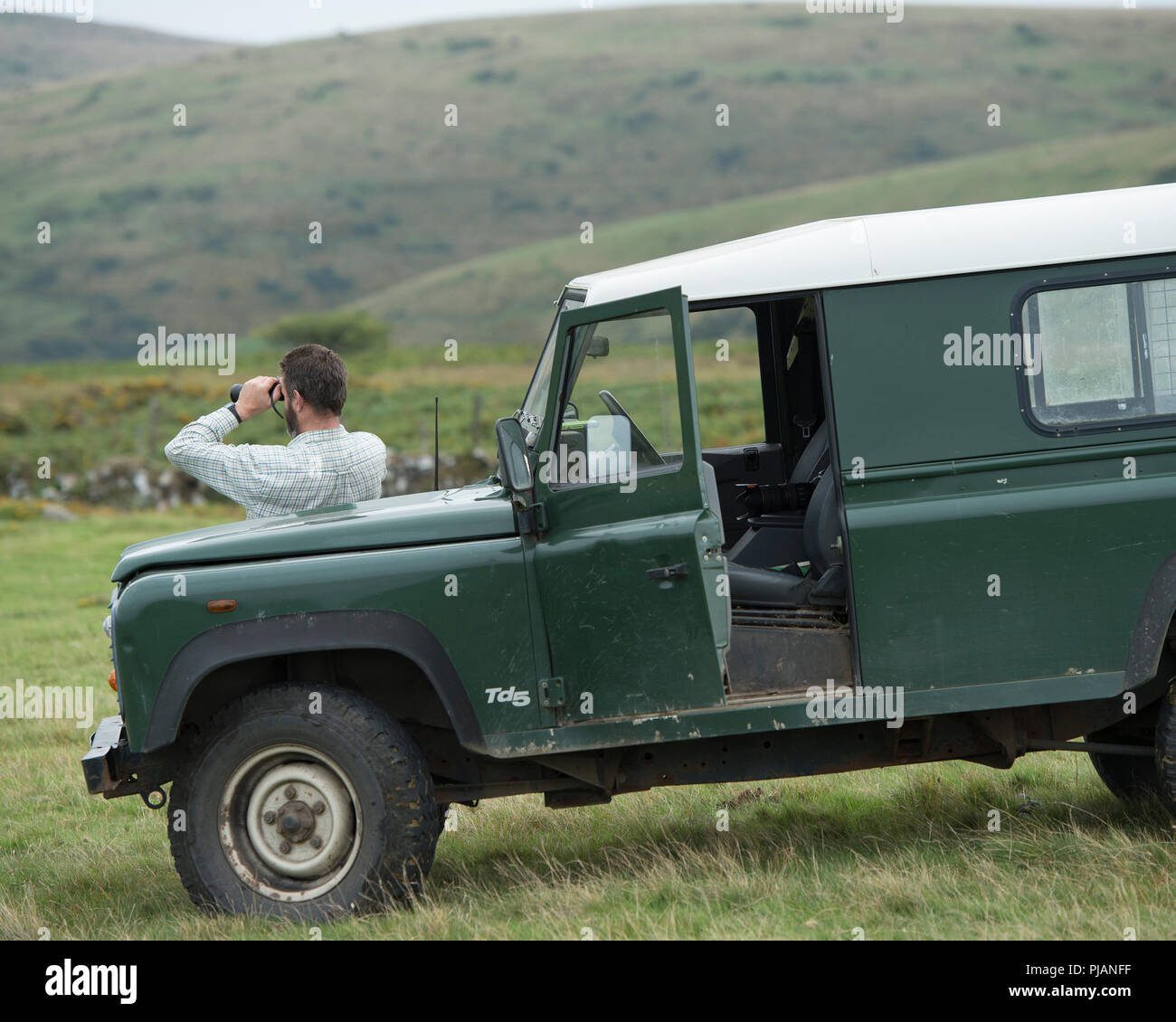 Uomo che utilizza un binocolo mentre Cervo Stalking Foto Stock