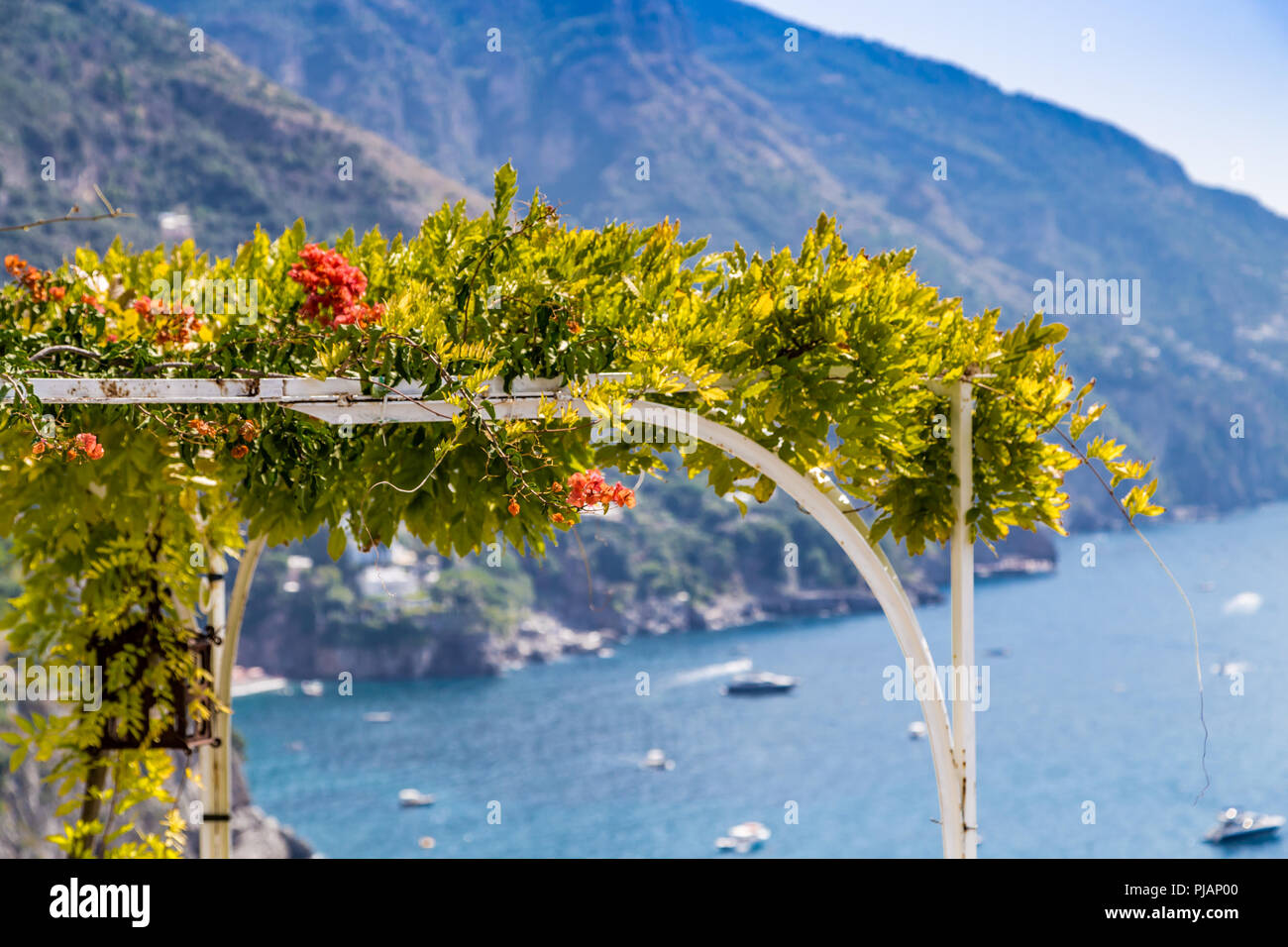 Red bignonia campsis fiore sul ferro da stiro arco sulla costiera amalfitana Foto Stock