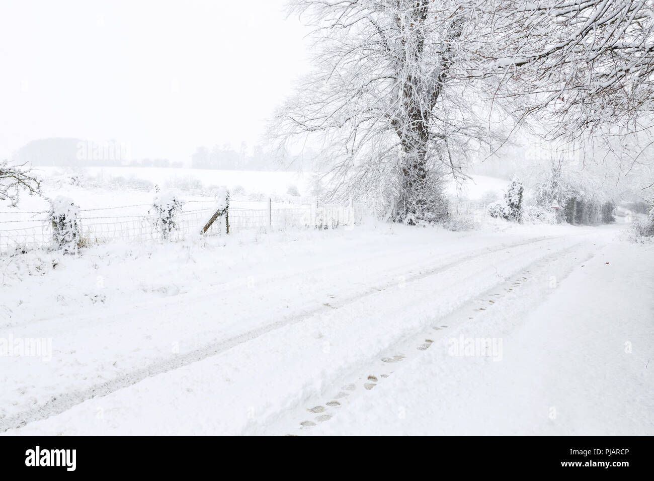 Campagna inglese e in inverno con una strada rurale, tree e i campi coperti di neve Foto Stock