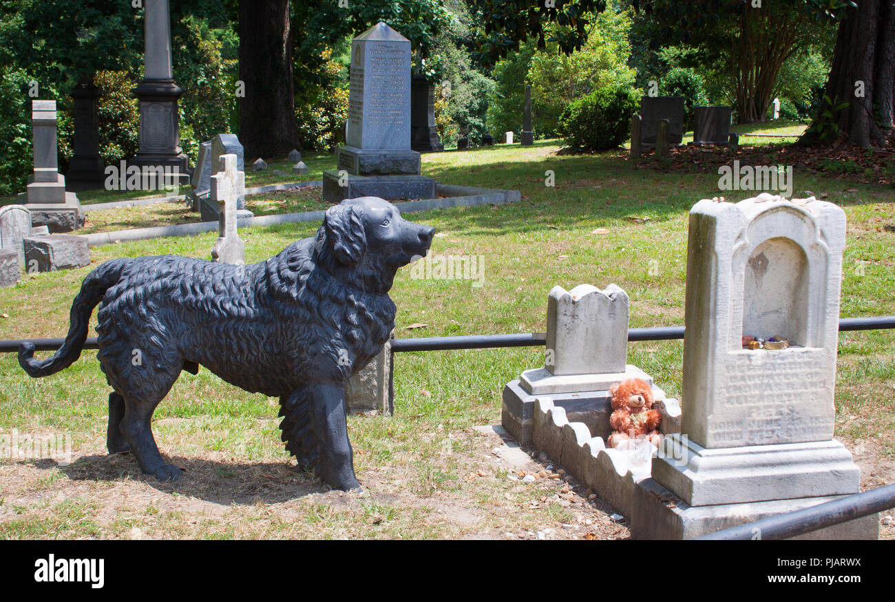 Statua di cane di childs grave in Richmond Virginia Foto Stock